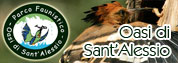 vai a Oasi di Sant'Alessio
